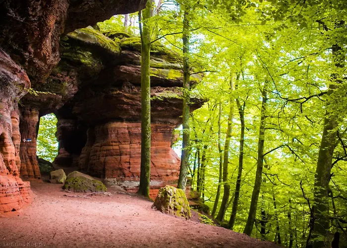 La Maison Des Joel's *